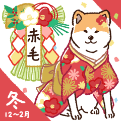 Akita dogs in winter [RED-HAIRED] No.1