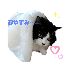 isa_20210131164333