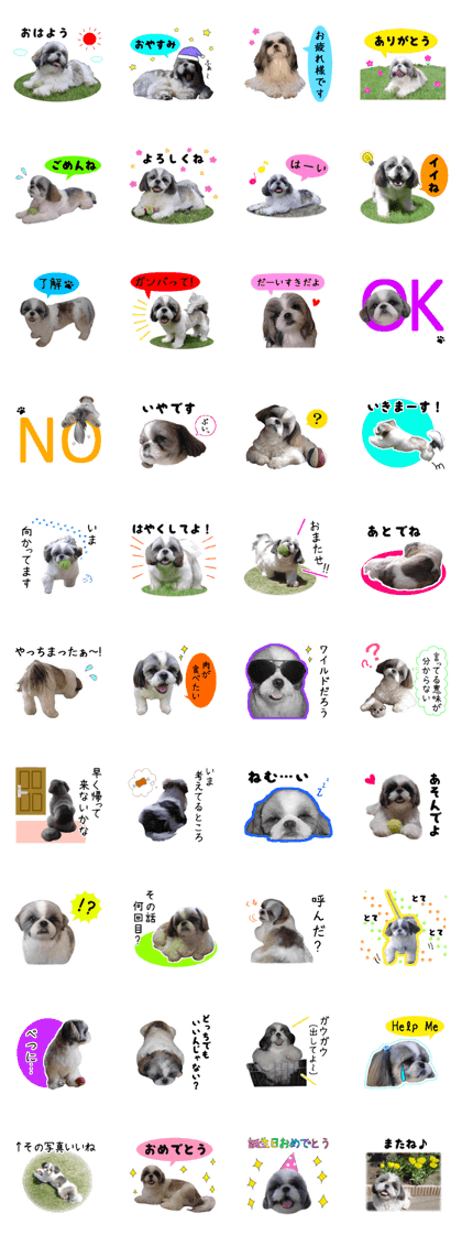 CHIP Sticker