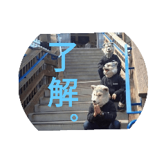 taki_20210131180334