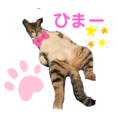 NATSUMI_20210131181343