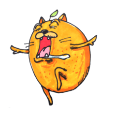 mandarin orange cat