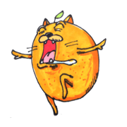 mandarin orange cat