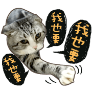 Dump Dump Pet <PHOTO>