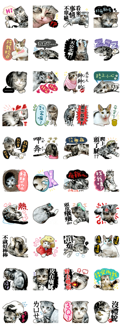 Dump Dump Pet <PHOTO>