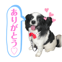 my dog stamps (MILK)