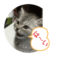 Takashi_20210131205417