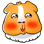 Guinea pig FIFI is me!! part 2