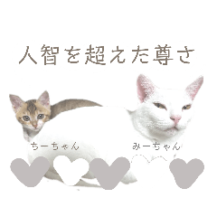 risa_20210201013602