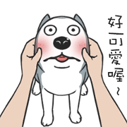 Hello~Moon Moon!!