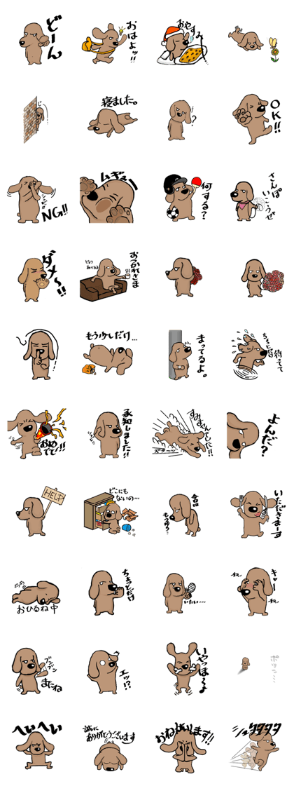One day of a cute dog