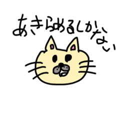 Risa_20210131195824