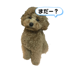 saya_20210131202731