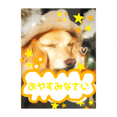 ayumi_20210131195558