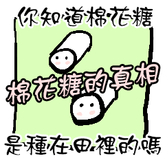棉花糖的真相 你知道棉花糖是種在田裡的嗎
