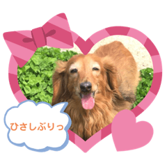 rina_20210131221243