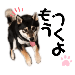 saya_0127_