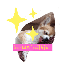 emily_20210131051145