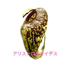 kotobuki_20210201031327