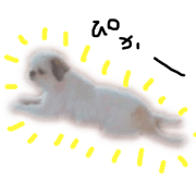 moooom_20210131225924