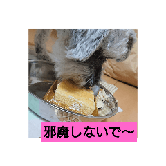 miki_20210131214032