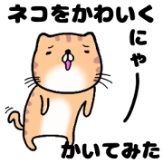 pretty pretty cat