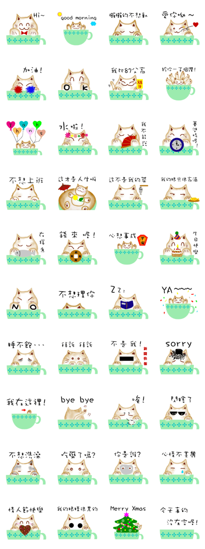 Cat speak to himself