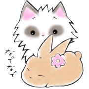 CHANTA of rabbit