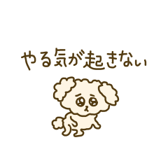 Toy Poodle that are feeling despair