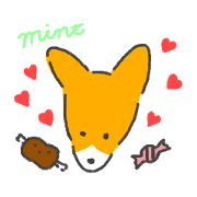 Corgie dog aunt Mint