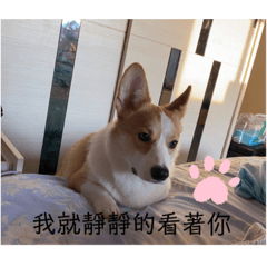 安安蹦
