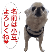 Mr.Thank you and amusing friends 26