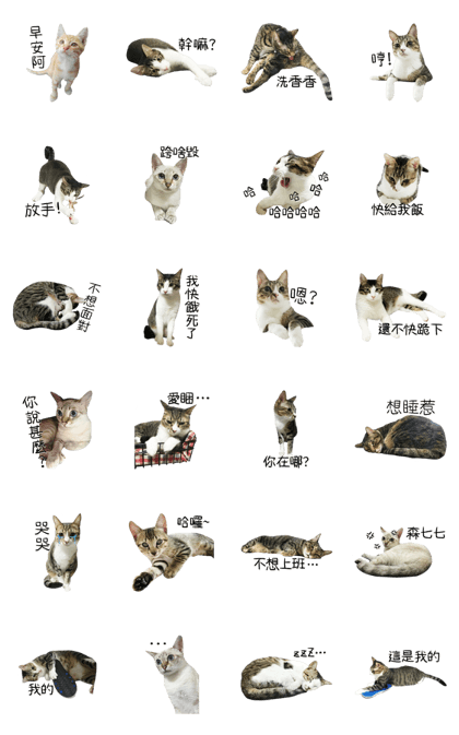 Meow Meow Living Diary