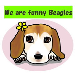 We are funny Beagles English version
