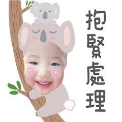 晴晴可愛動物貼圖