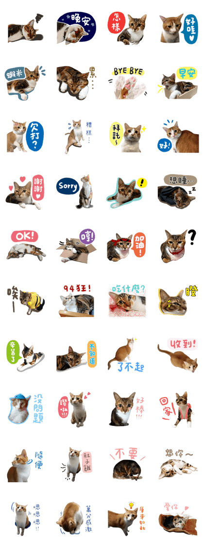 Candy x Kobe Cats