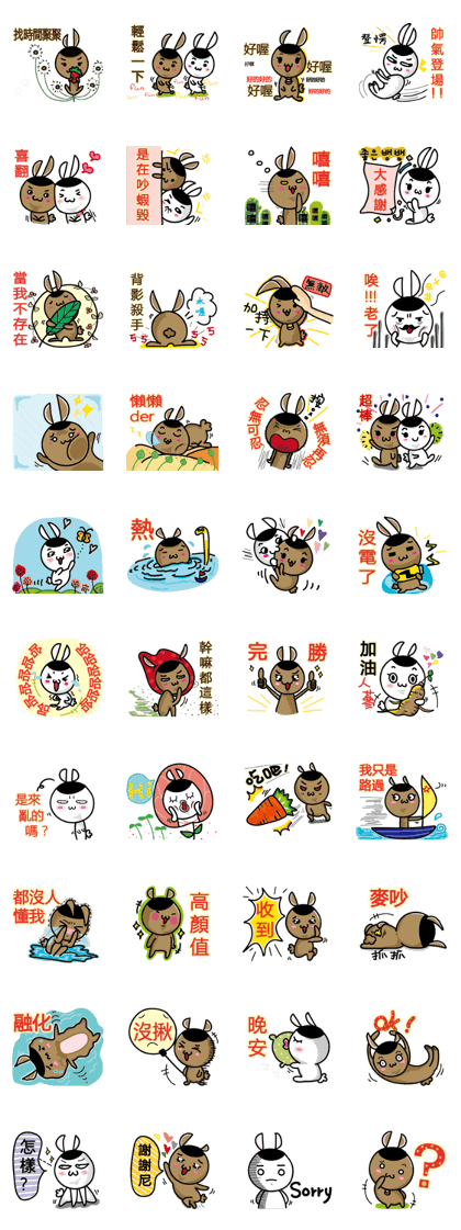 Pompom rabbits daily