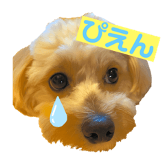 vivi_20210201123430