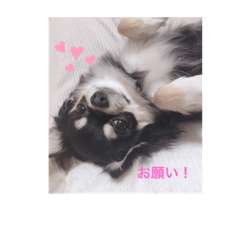 mary_20210201123143