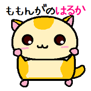 Haruka of momonga