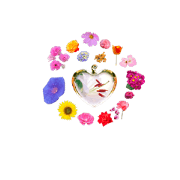 happy mog's flowers