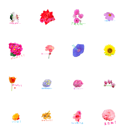 happy mog's flowers