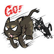 Catty Lifestyle of Miko & Kola