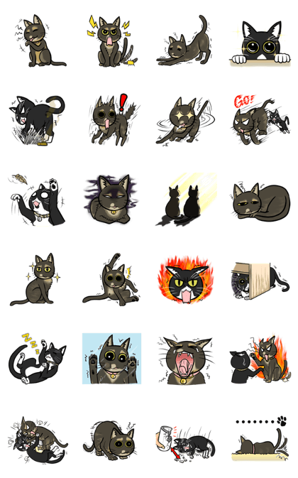 Catty Lifestyle of Miko & Kola