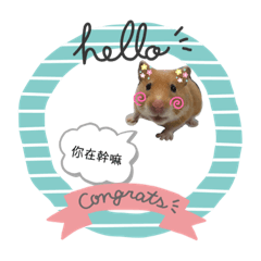 可愛的露露(⁎⁍̴̛ᴗ⁍̴̛⁎)