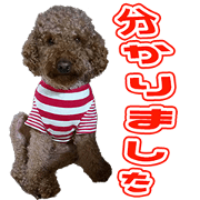 AOsama's Sticker
