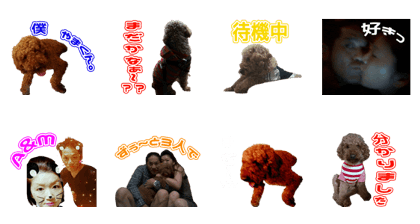 AOsama's Sticker