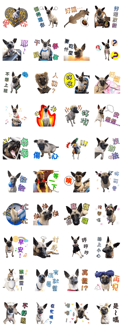 Mix dog Obee's sticker (life)
