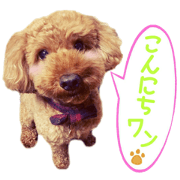 Happy wants