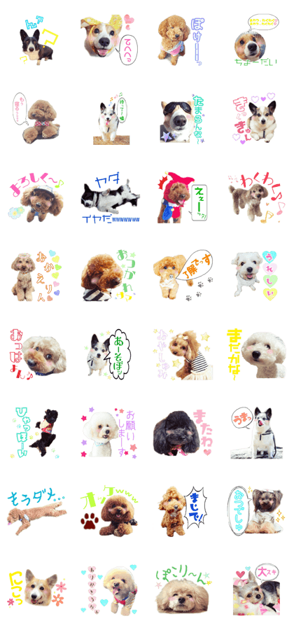 Happy wants